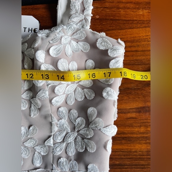 Dress the Population Anabel Semisheer Sweetheart Neck Gown Off White Size M NWT - Picture 14 of 16